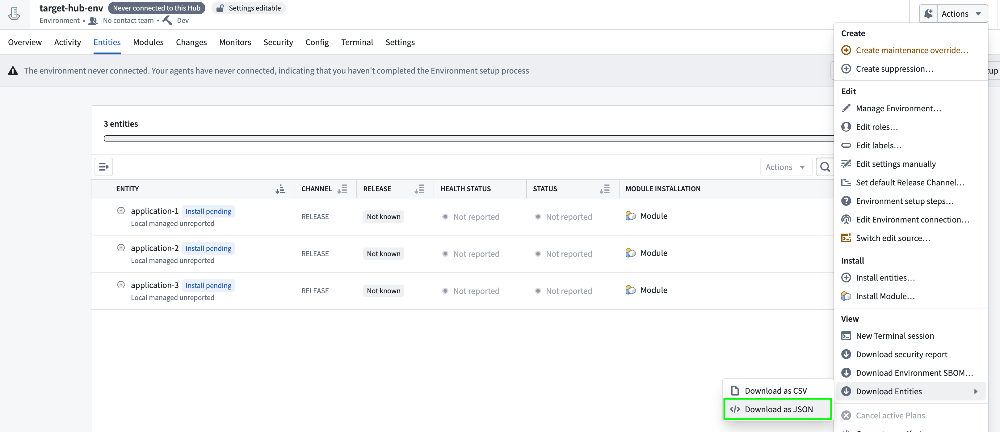 The Environment actions menu showing the download Entities as JSON option.