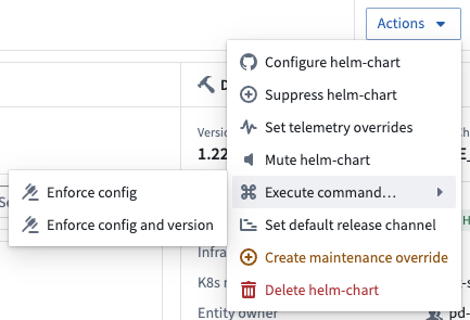 To issue a command use the execute command option from the actions dropdown menu, then select the appropriate command type.