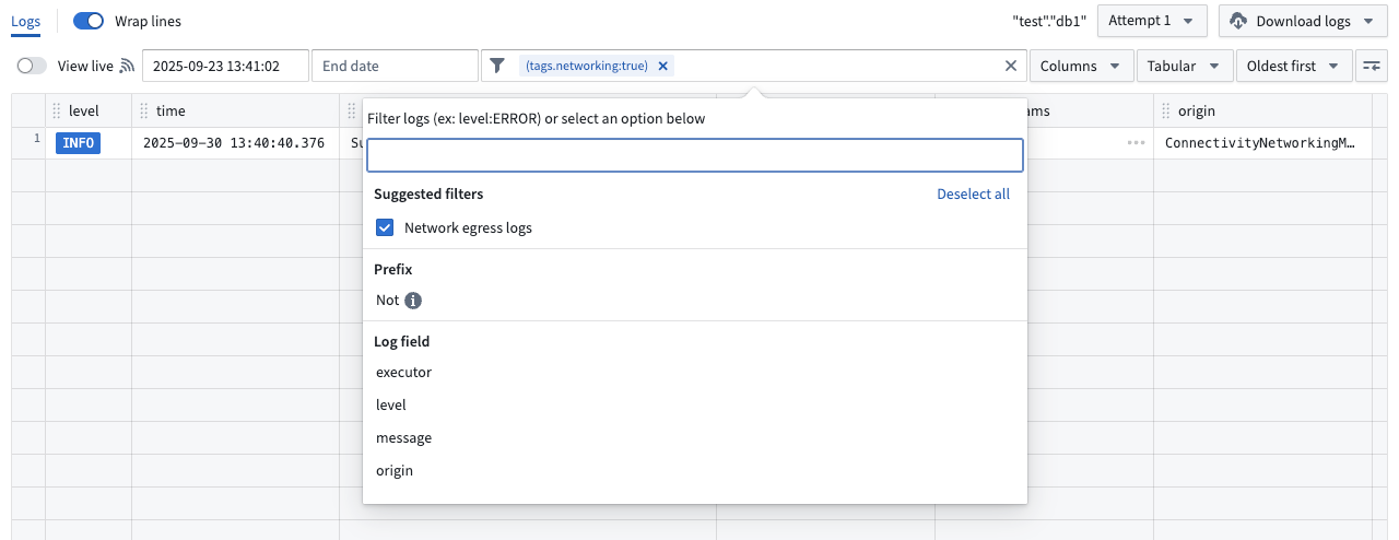 Network egress logs filter