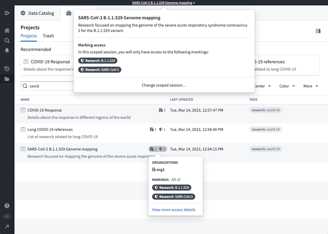 scoped session workspace example