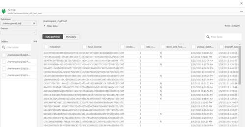 Qlik Foundry dataset preview