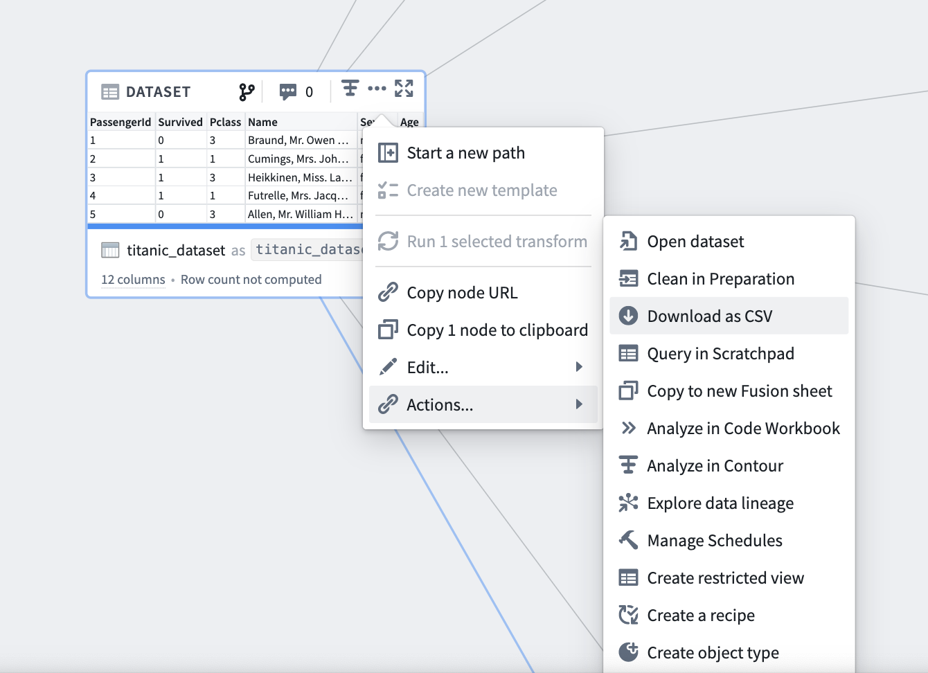 code workbook export dataset