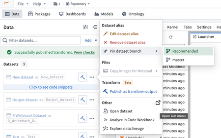 The Pin dataset branch setting within the imported dataset context menu.