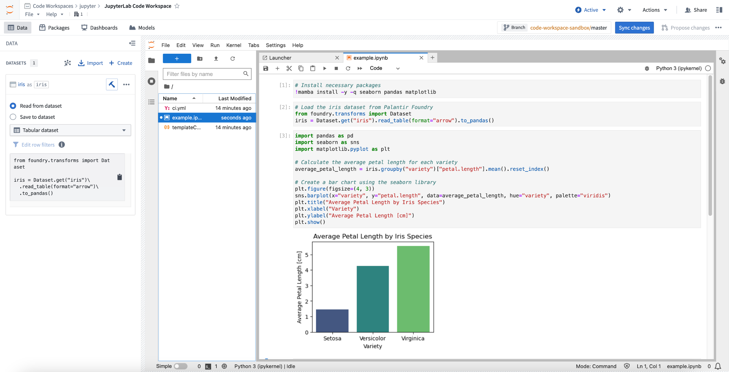 Jupyter® Code Workspace used for data science.