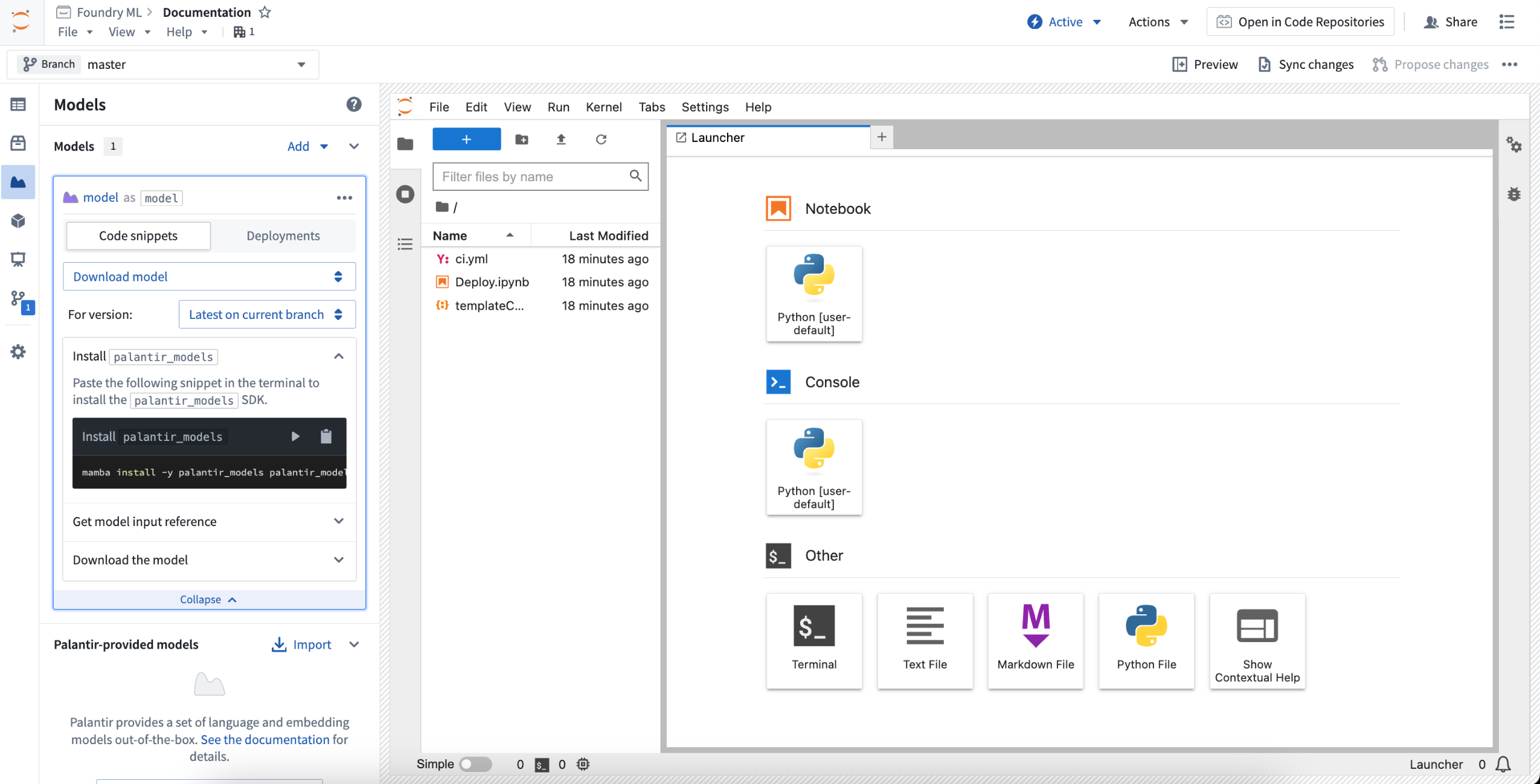 Image showing sidebar controls for downloading models in Code Workspaces