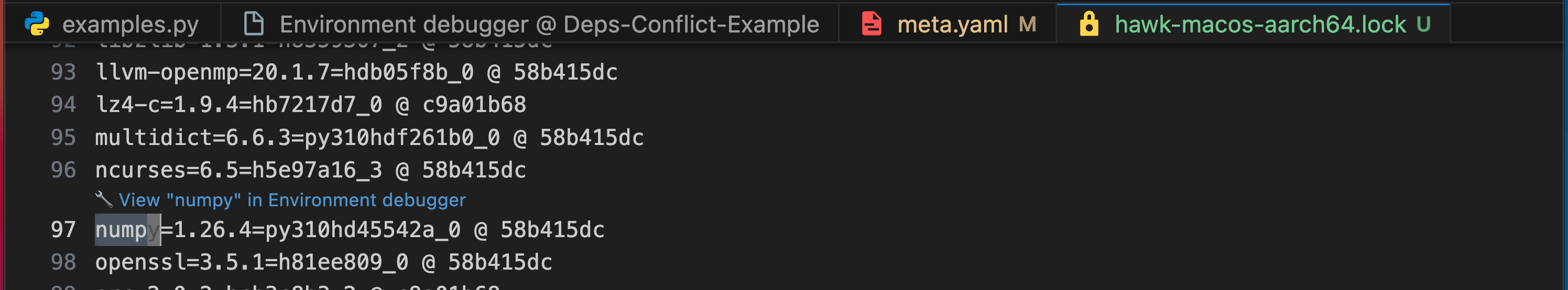 The codelens hint above a highlighted package providing the option to view the package in the environment debugger.