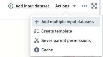 Add multiple input datasets option.