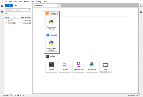 Notebook file launchers using managed environment with name default