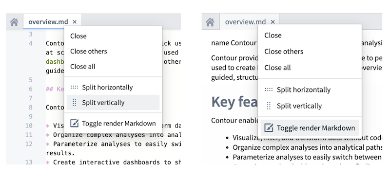 Screenshot splitting panes and rendering Markdown