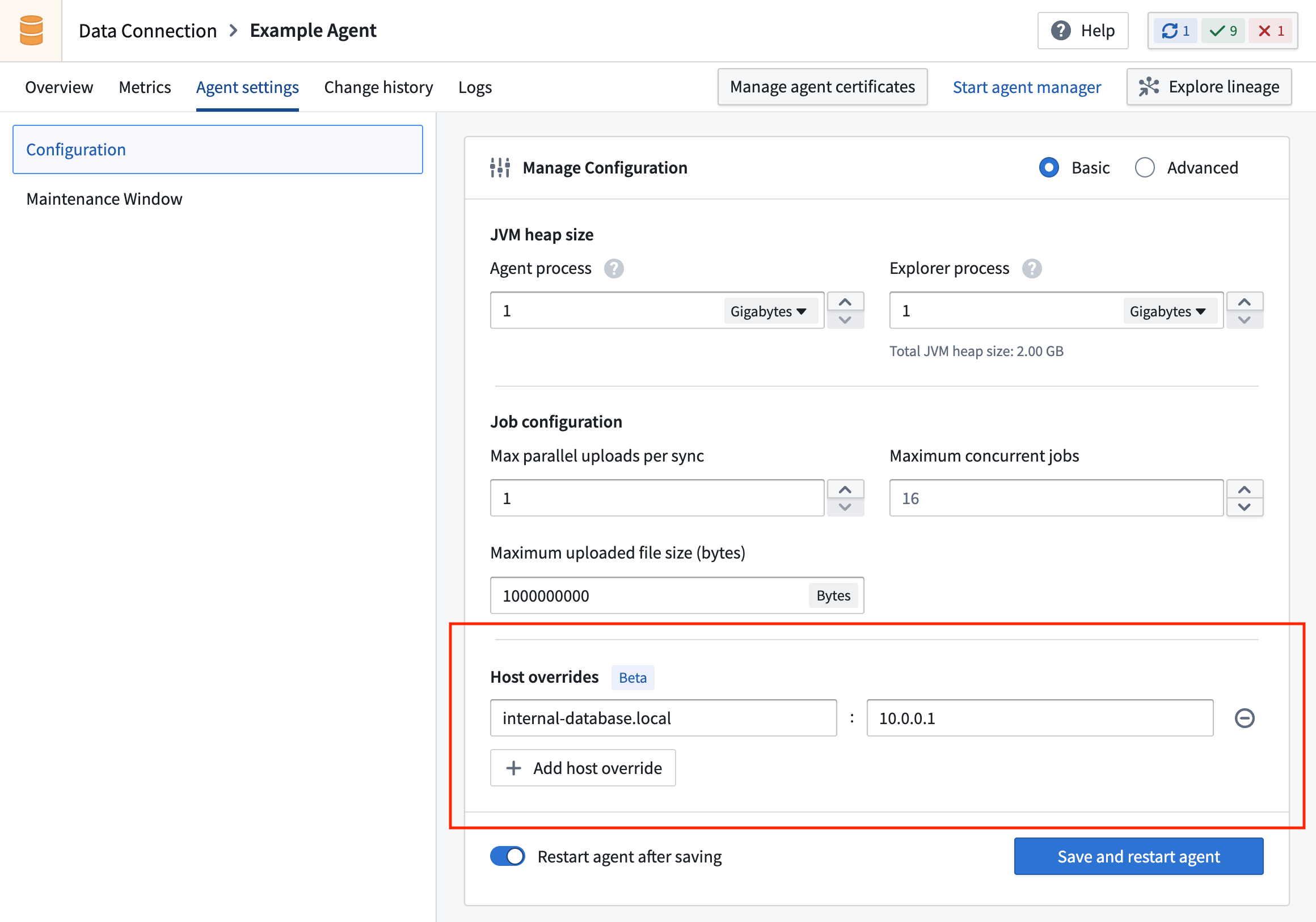 Add a host override from the Agent settings page in Data Connection.