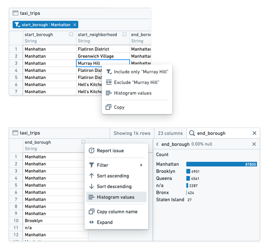 Dataset preview filters