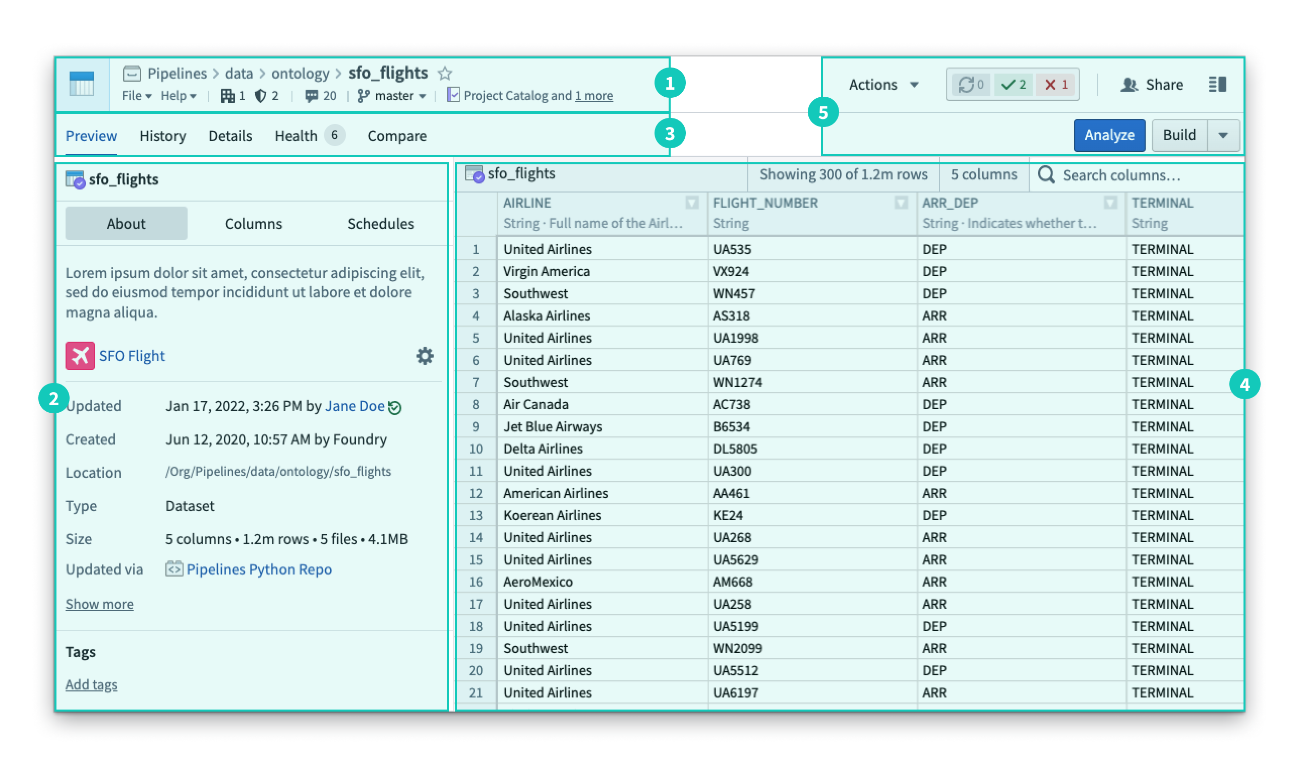 Dataset app UI