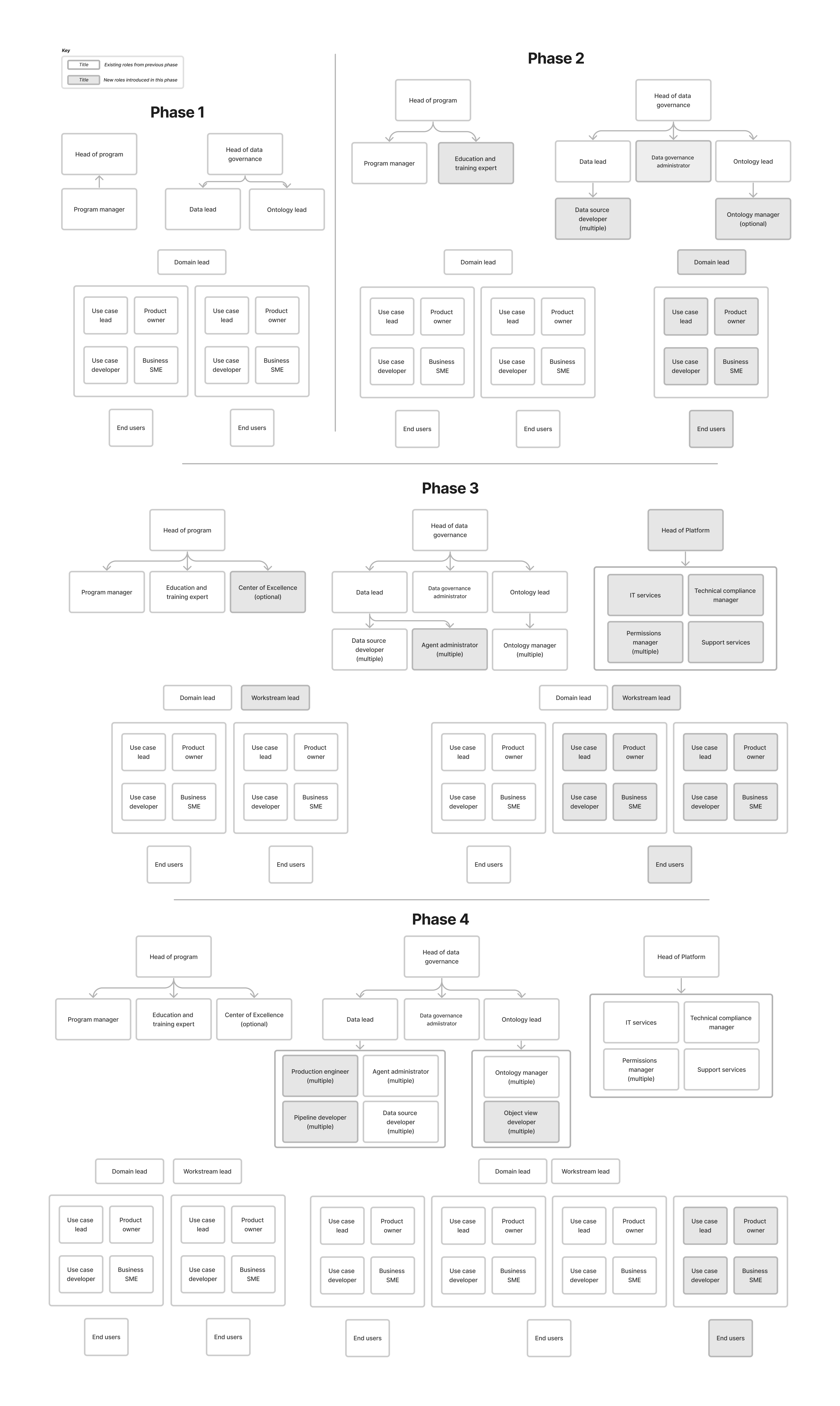 Program team evolution diagram