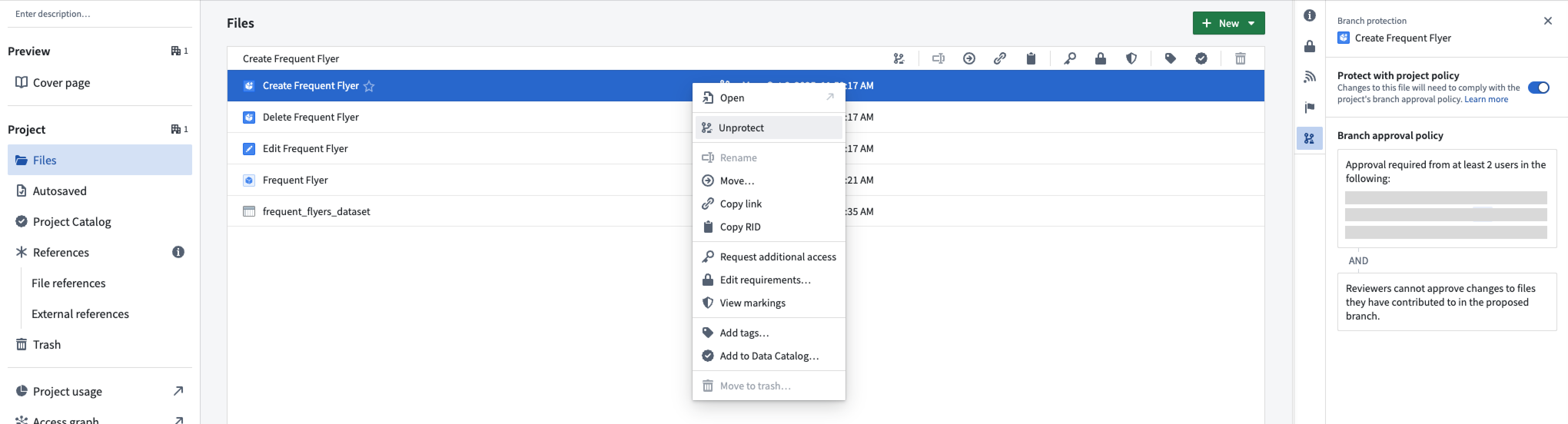 Protecting an ontology resource.