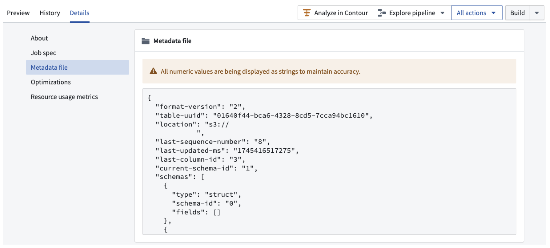The Iceberg catalog metadata JSON file displayed in the dataset application.