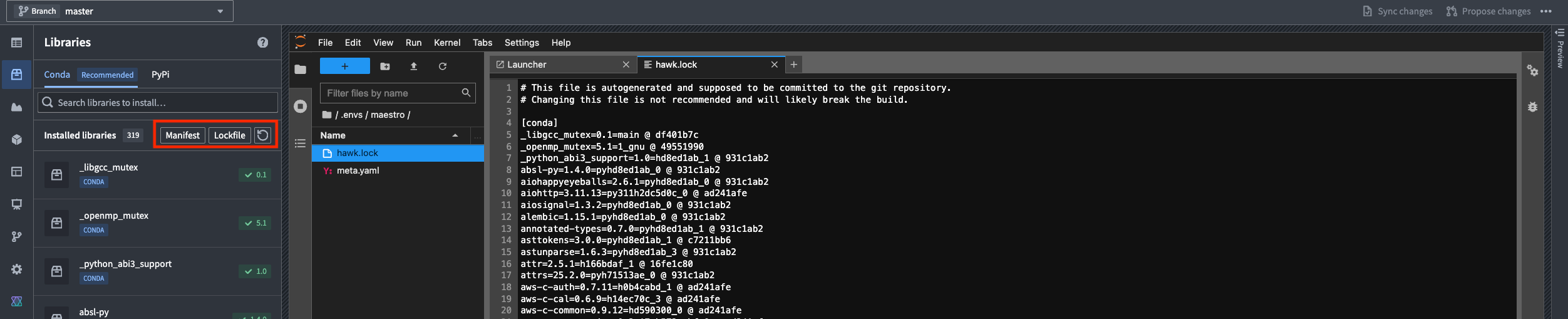 How to open the Jupyter lockfile.