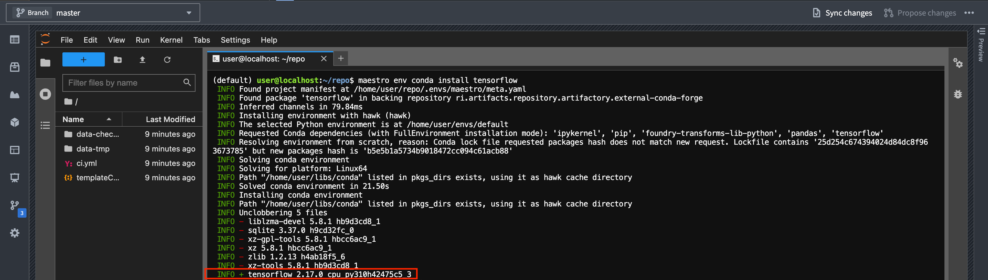 The installation logs showing package versions being installed.