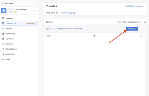 The 'Column mapping' tab and the 'Automap all' button.