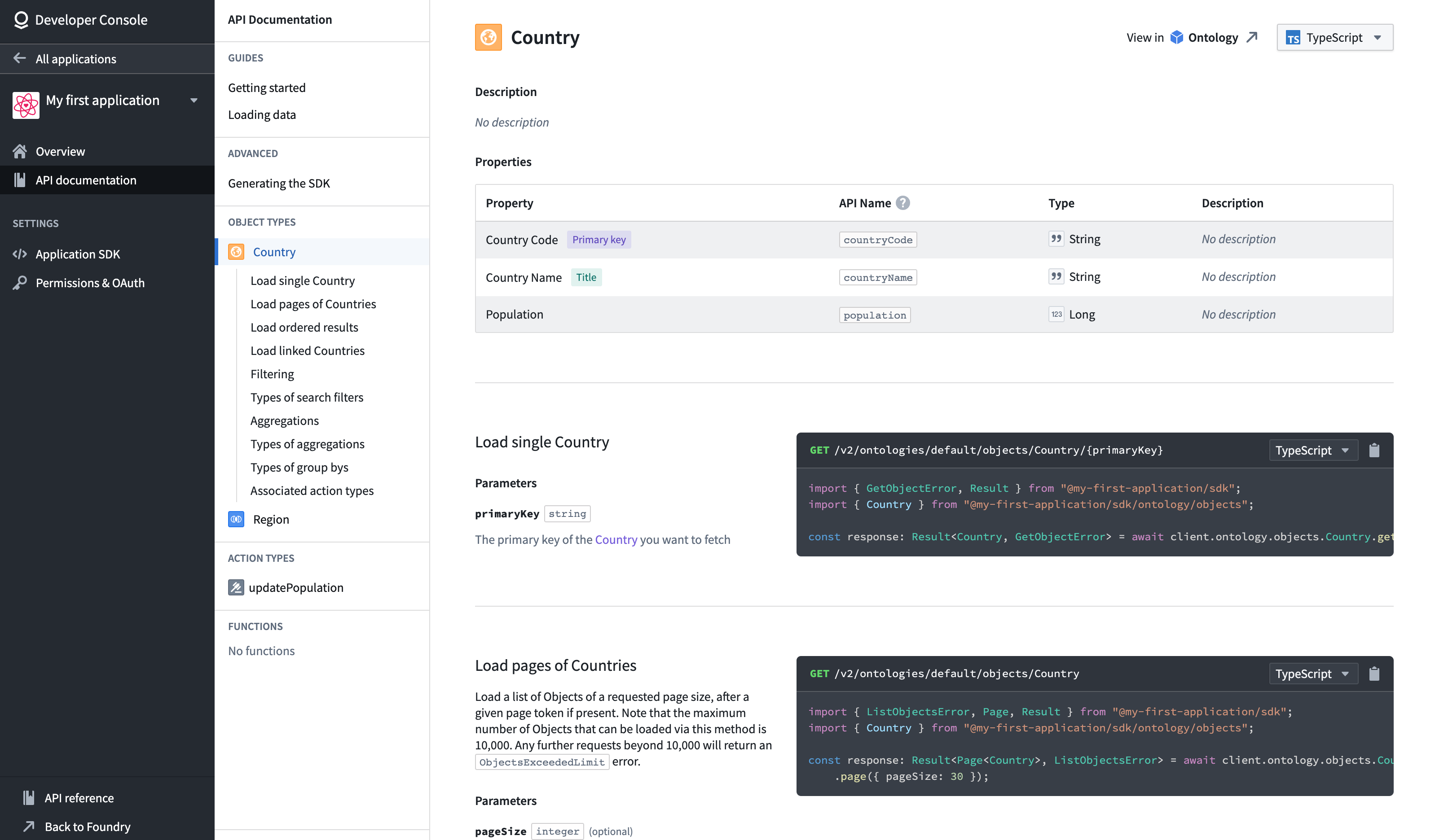 Application documentation page in the Developer Console