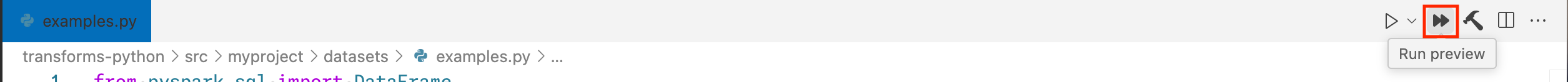 The "Run preview" icon, which is a fast-forward symbol, from the VS Code toolbar.