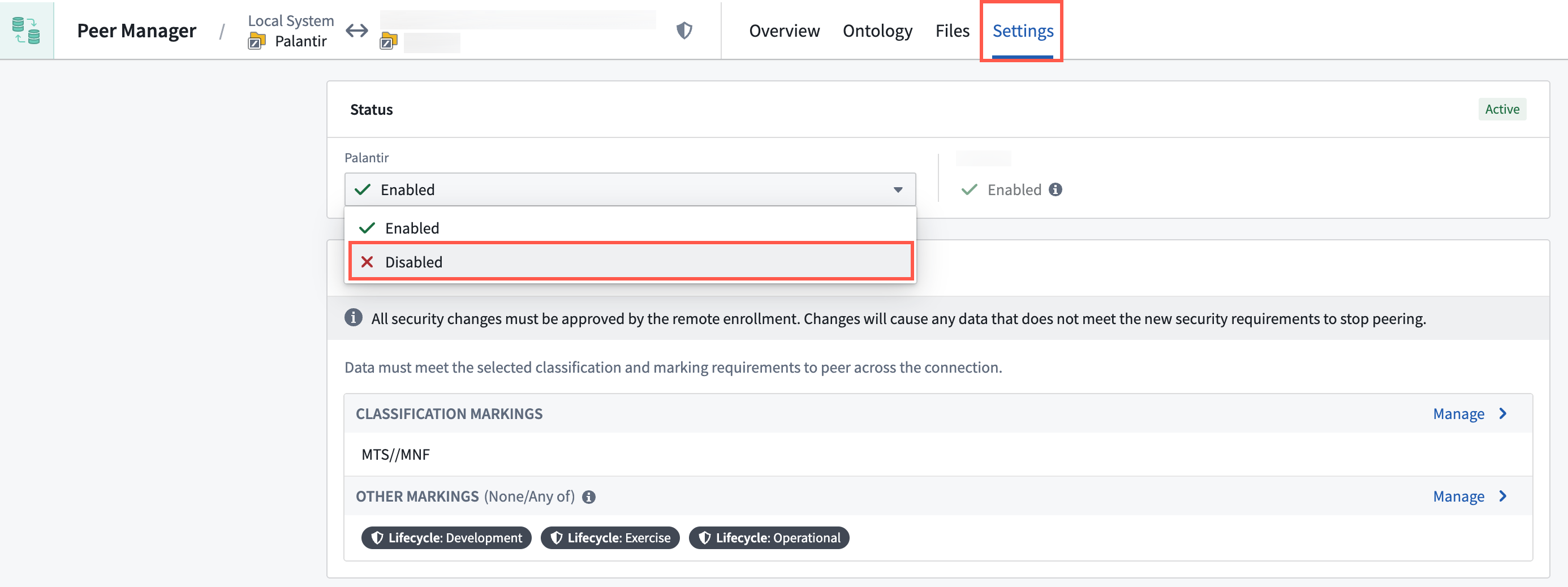 The Status section of the Settings tab in Peer Manager is displayed.