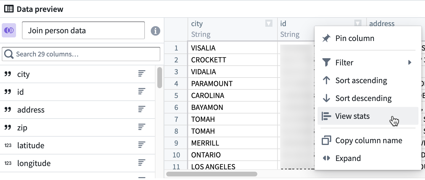 Screenshot of dataset's data preview pane