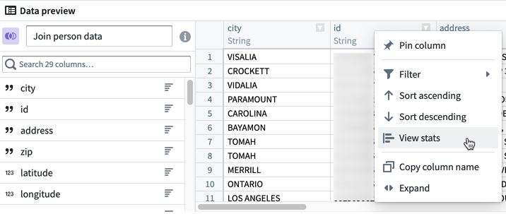 Screenshot of dataset's data preview pane