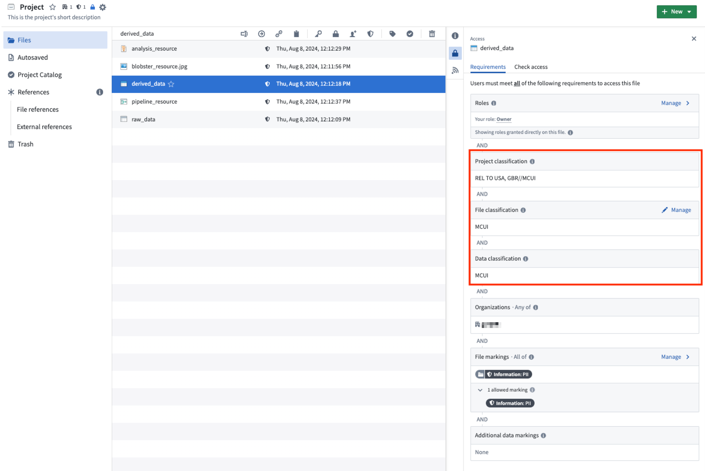 This image is a platform screenshot that shows where Project, file and data classifications are displayed on the resource sidebar.