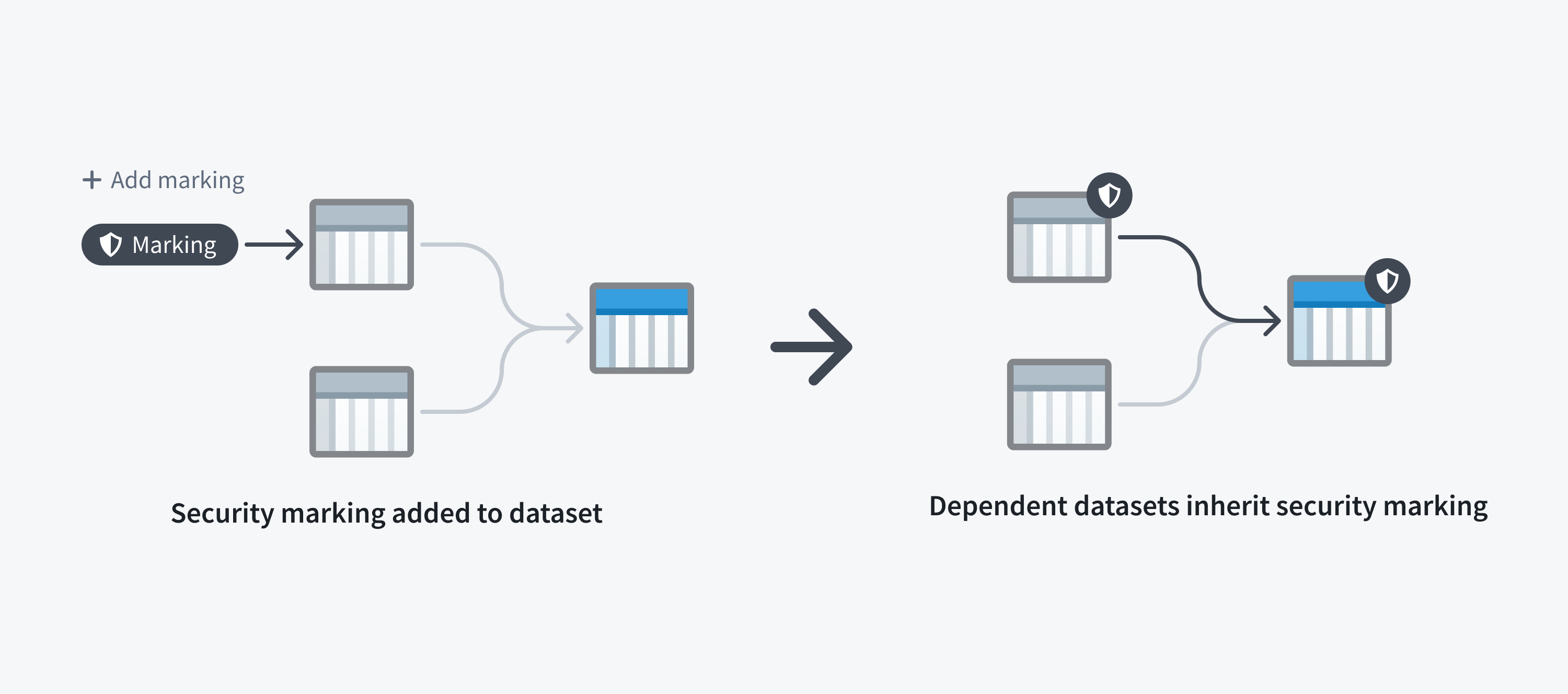 markings-dataset